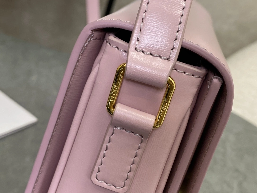 Cozy Celine Triomphe Bags 94474