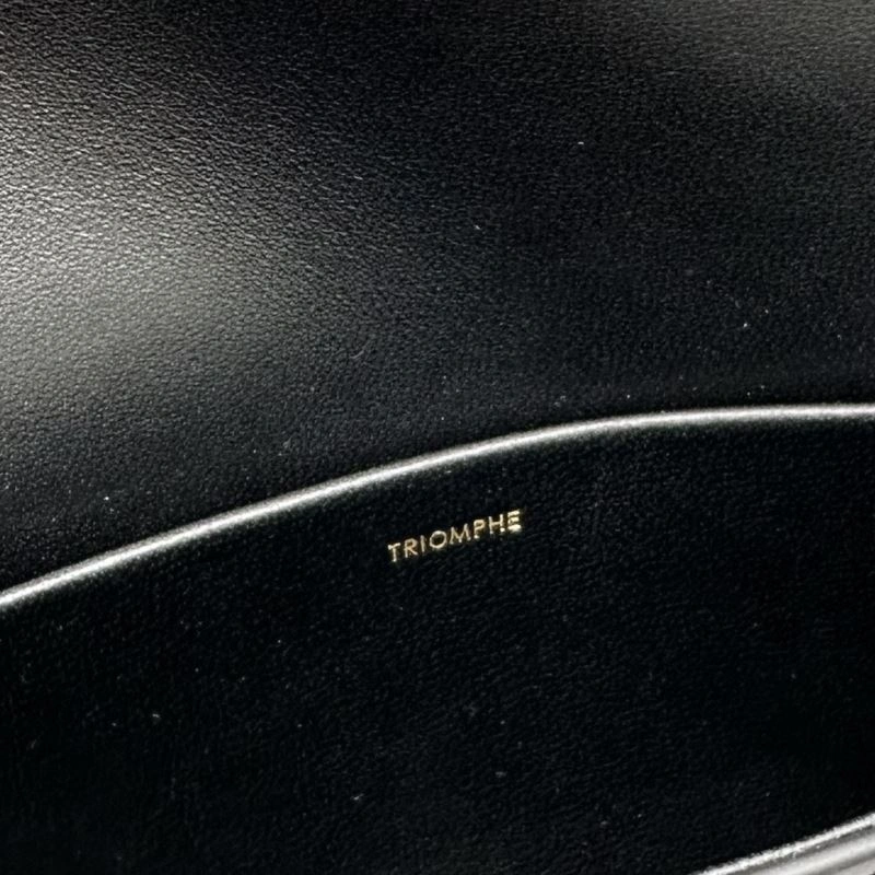 Celine Triomphe Bags WrinkleFree 64316