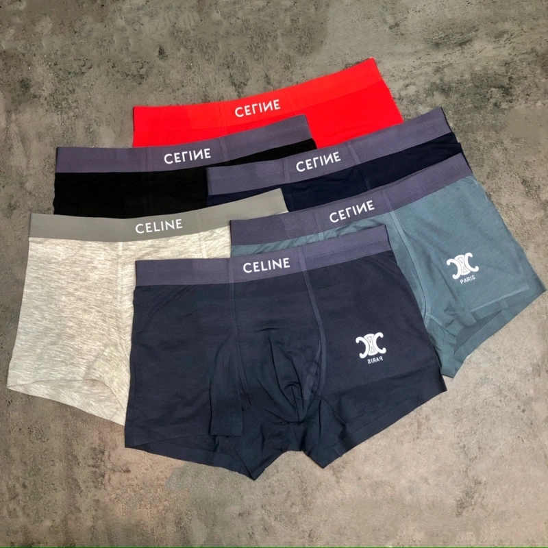 Sophisticated Celine Underwear 276461