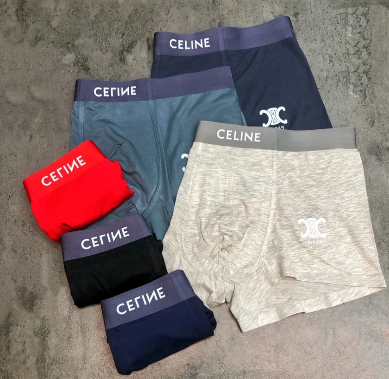 Sophisticated Celine Underwear 276461