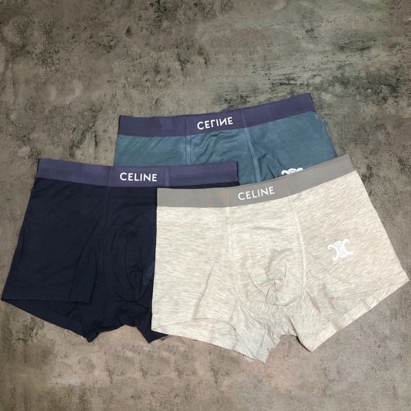 Sophisticated Celine Underwear 276461