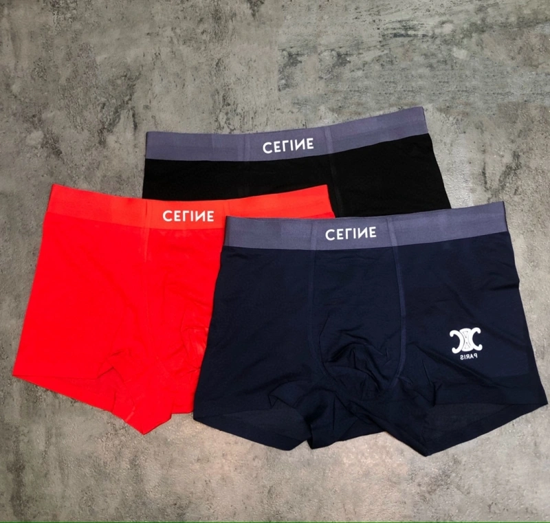 Sophisticated Celine Underwear 276461