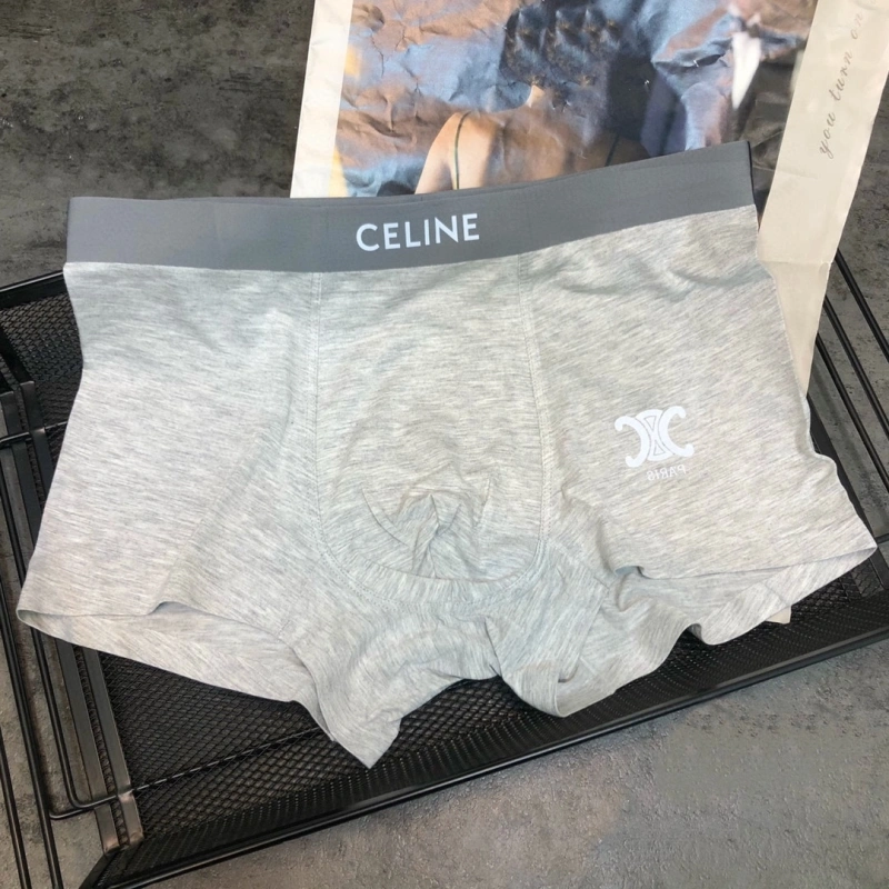 Sophisticated Celine Underwear 276461
