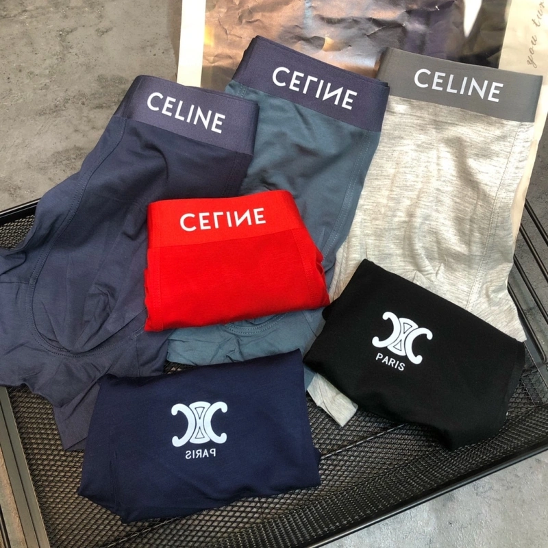 Sophisticated Celine Underwear 276461