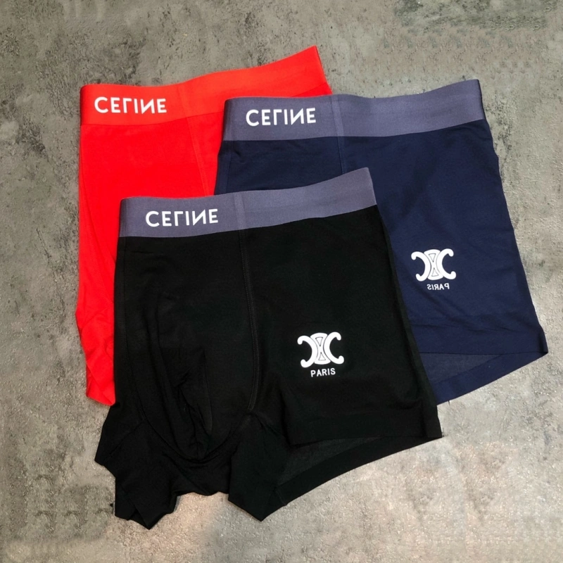 Sophisticated Celine Underwear 276461