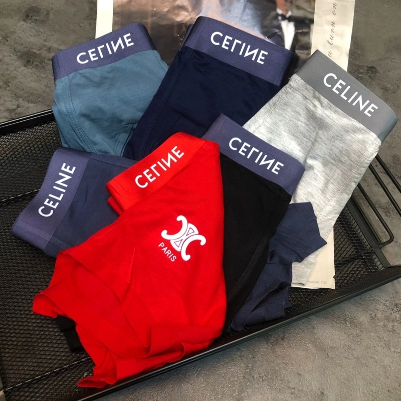 Sophisticated Celine Underwear 276461