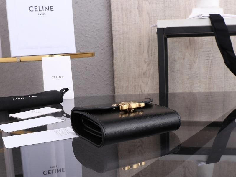 Sleek Celine Wallets Purse 94678
