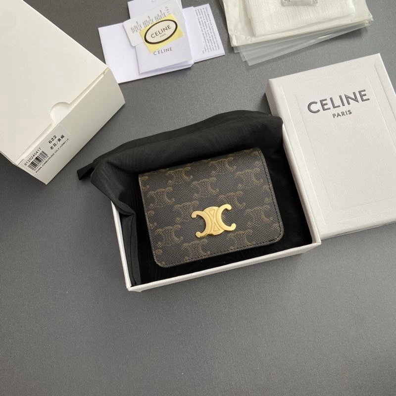 Celine Wallets Purse Stretchable 68495