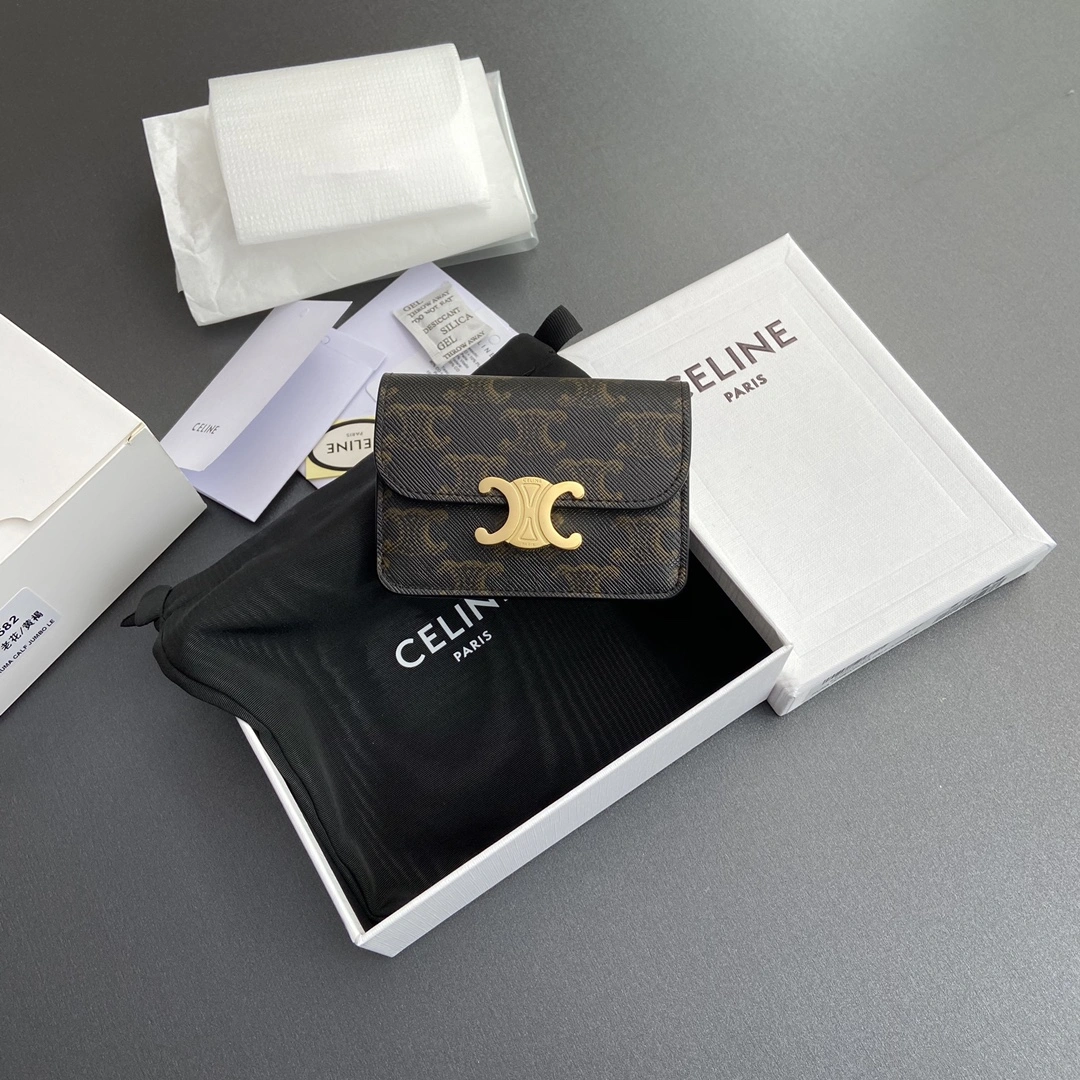Celine Wallets Purse WeatherProof 56754