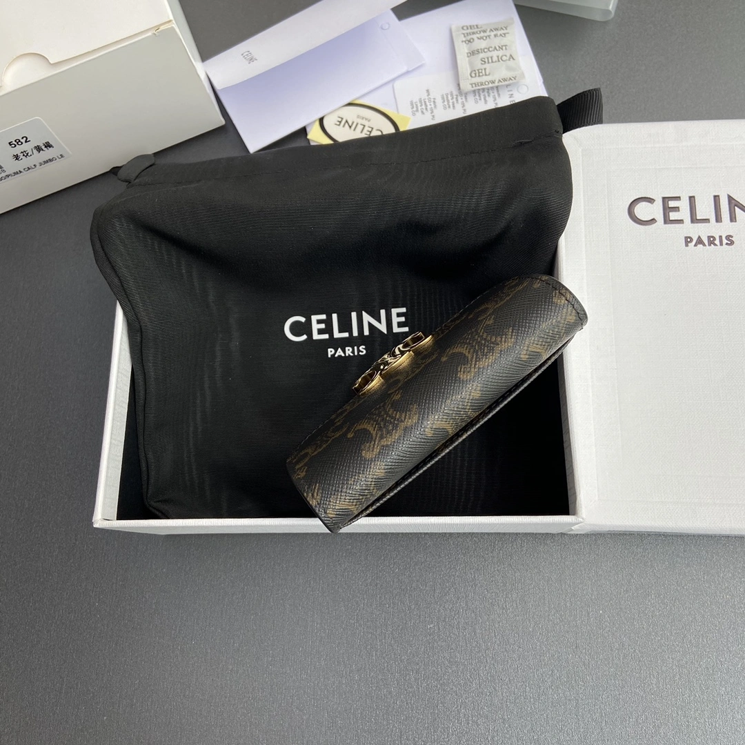 Celine Wallets Purse WeatherProof 56754