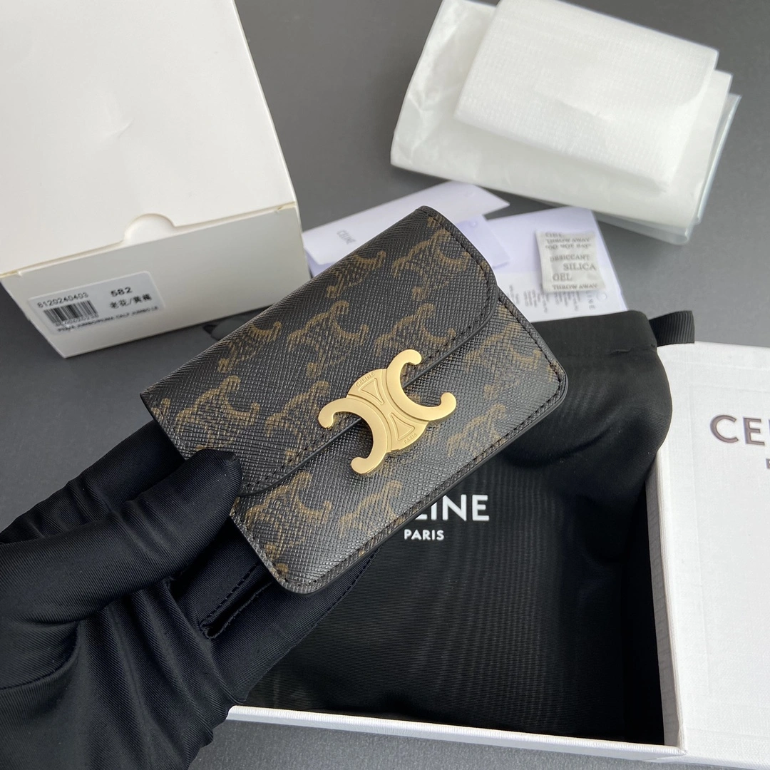 Celine Wallets Purse WeatherProof 56754
