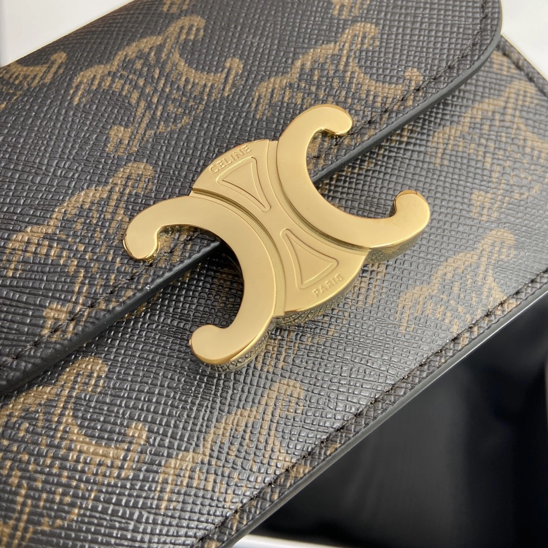 Celine Wallets Purse WeatherProof 56754