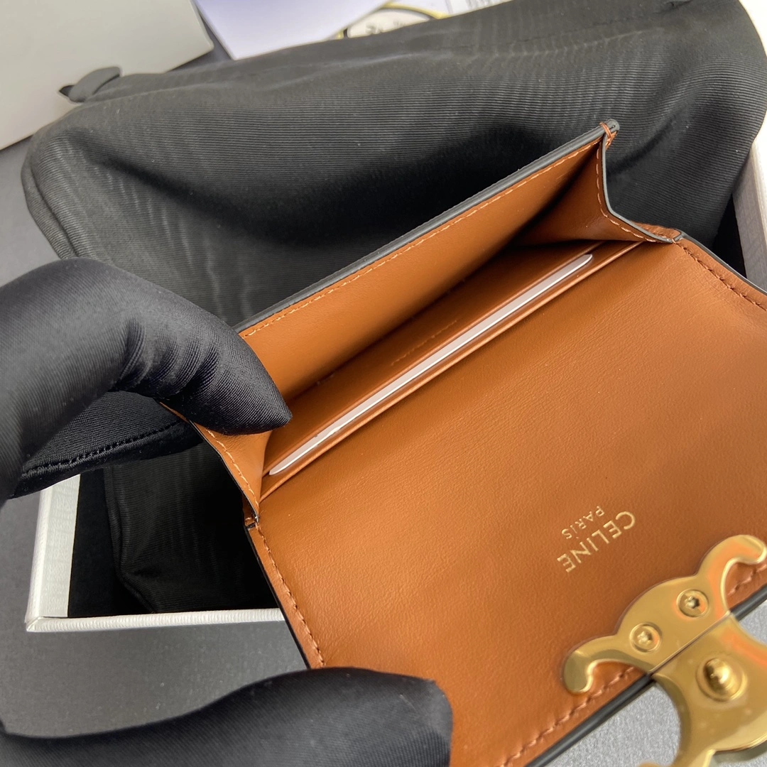 Celine Wallets Purse WeatherProof 56754