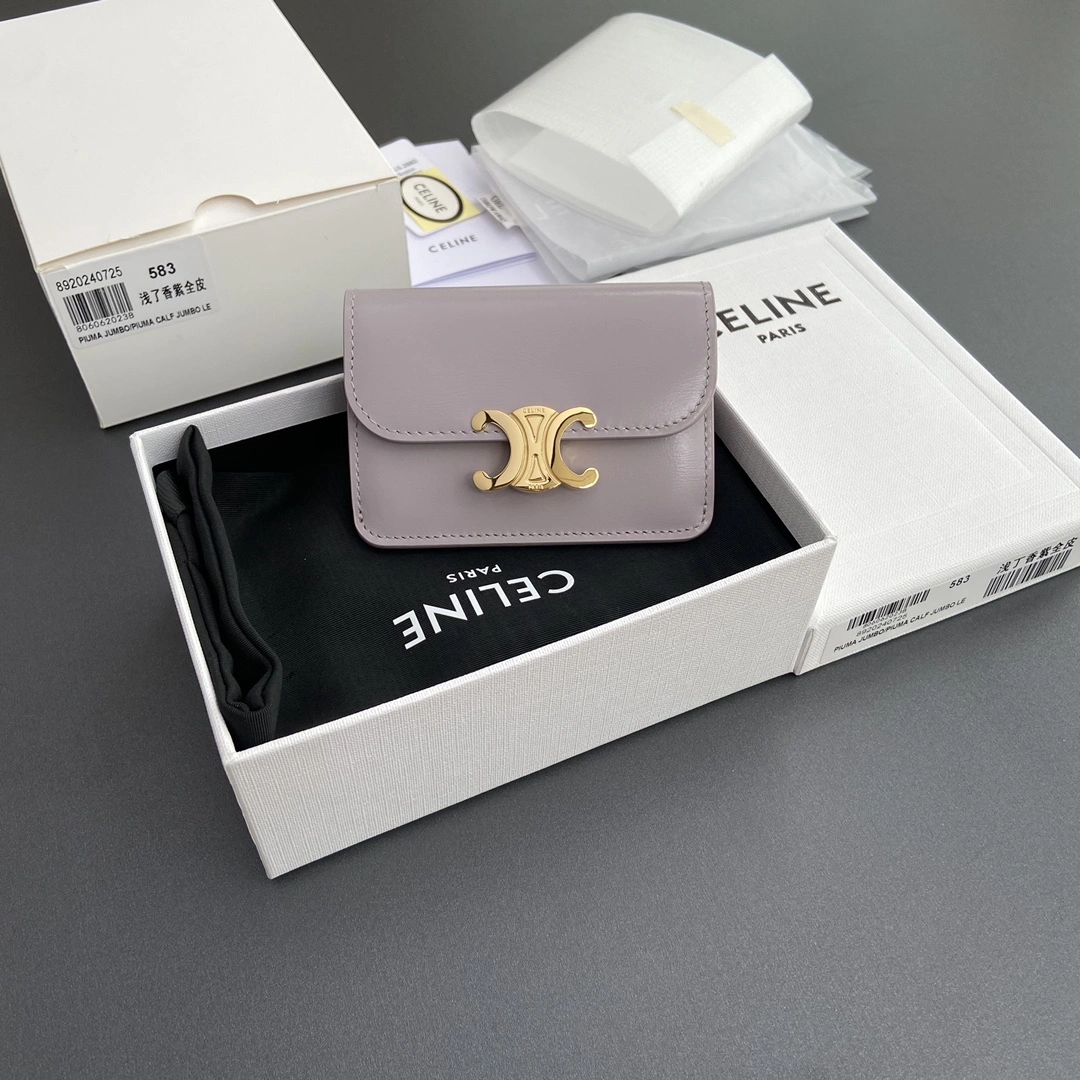 Sleek Celine Wallets Purse 56767