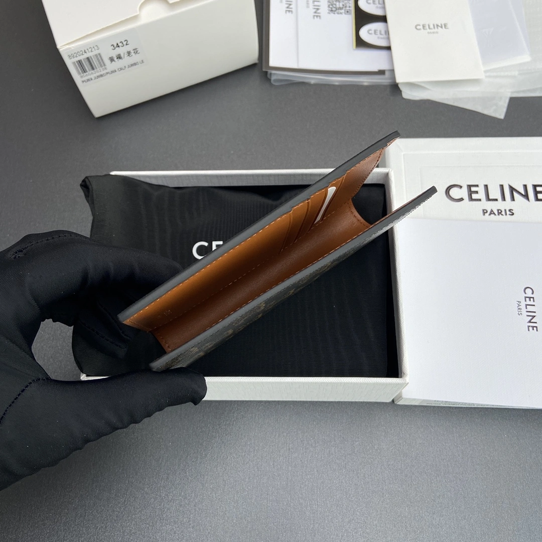 Celine Wallets Purse SunProtective 56738