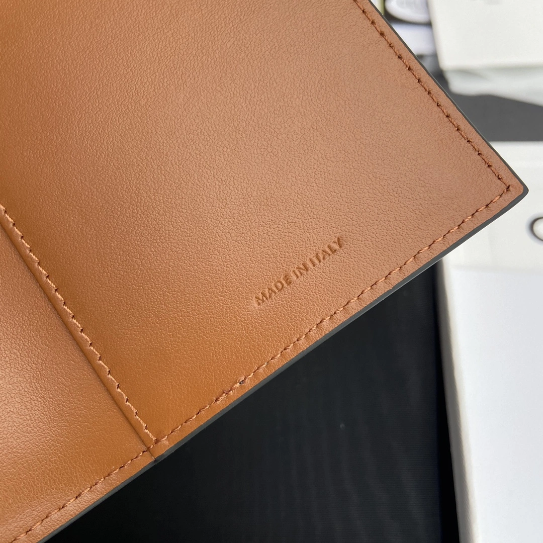 Celine Wallets Purse SunProtective 56738