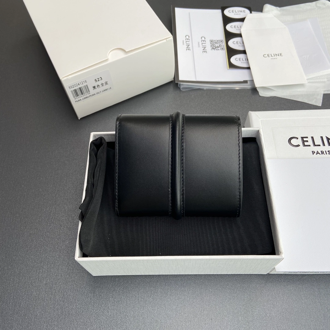 Celine Wallets Purse FastDry 56734