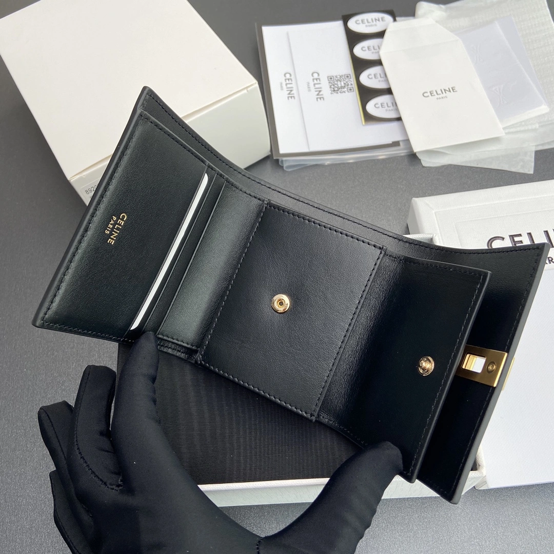 Celine Wallets Purse FastDry 56734