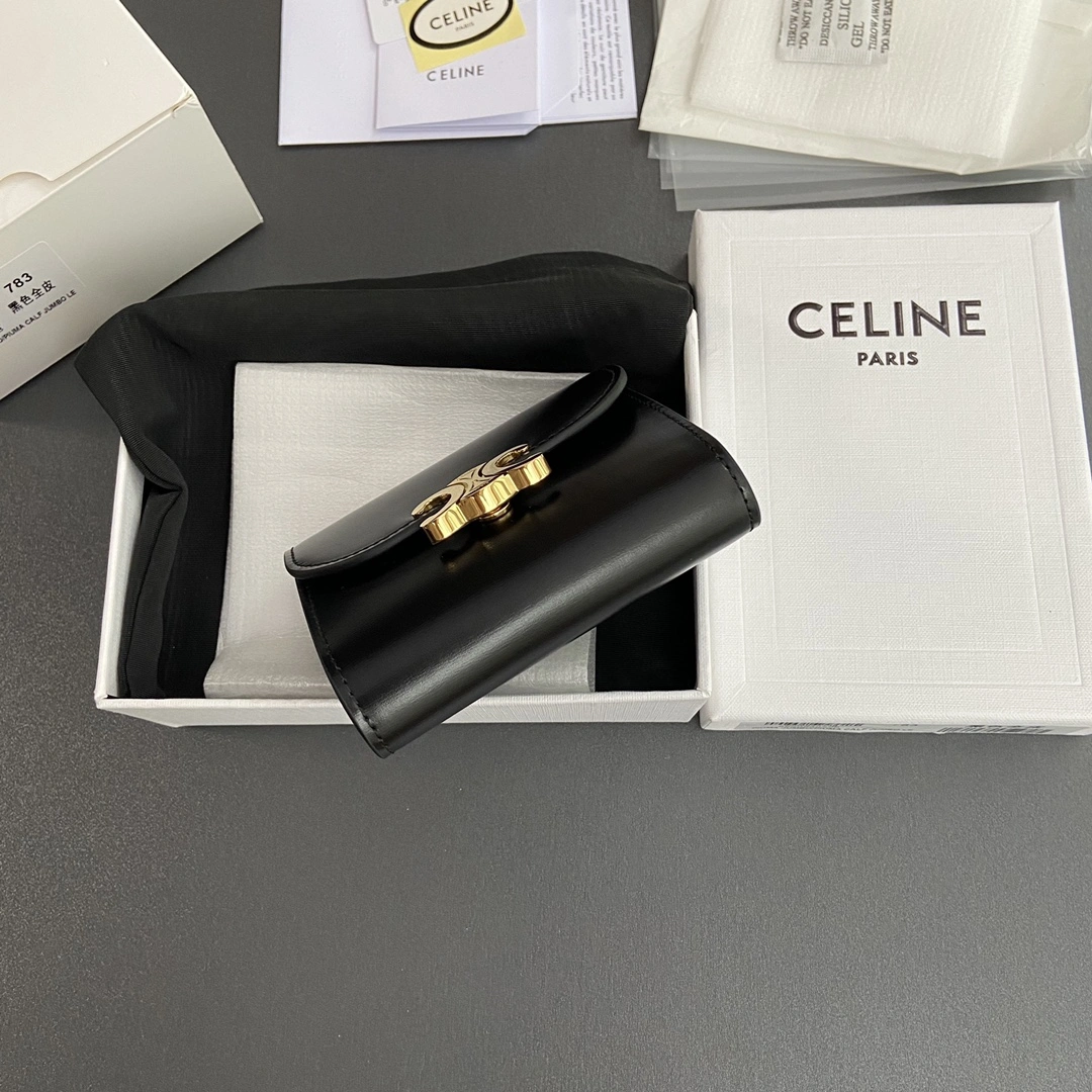 Celine Wallets Purse WeatherProof 56706