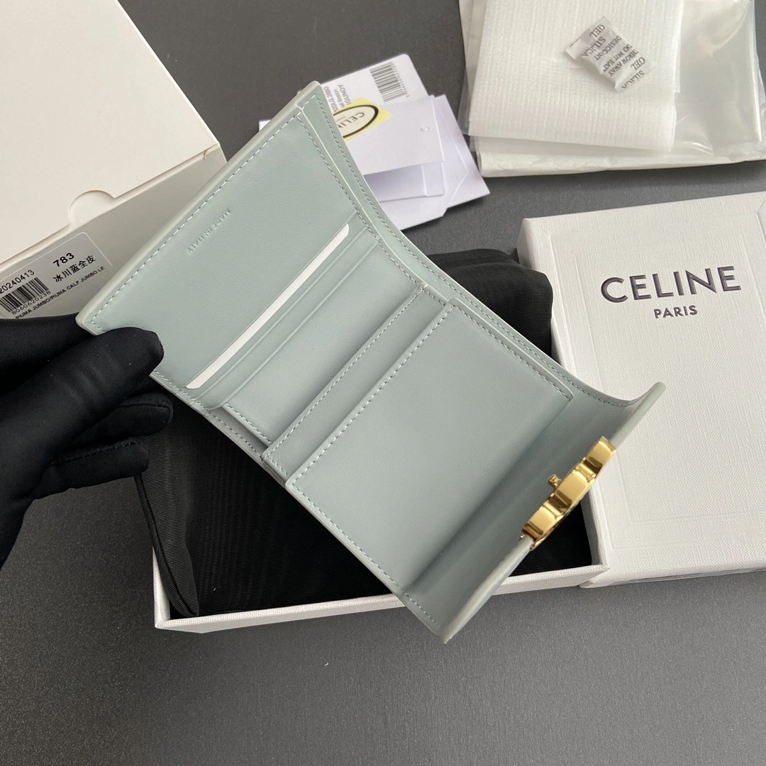 TechFriendly Celine Wallets Purse 56720