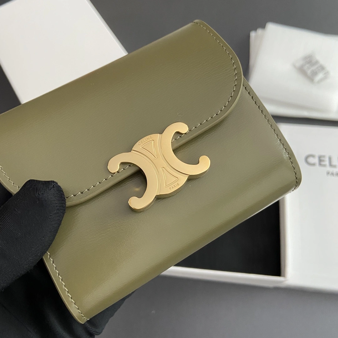Celine Wallets Purse EyeCatching 56705