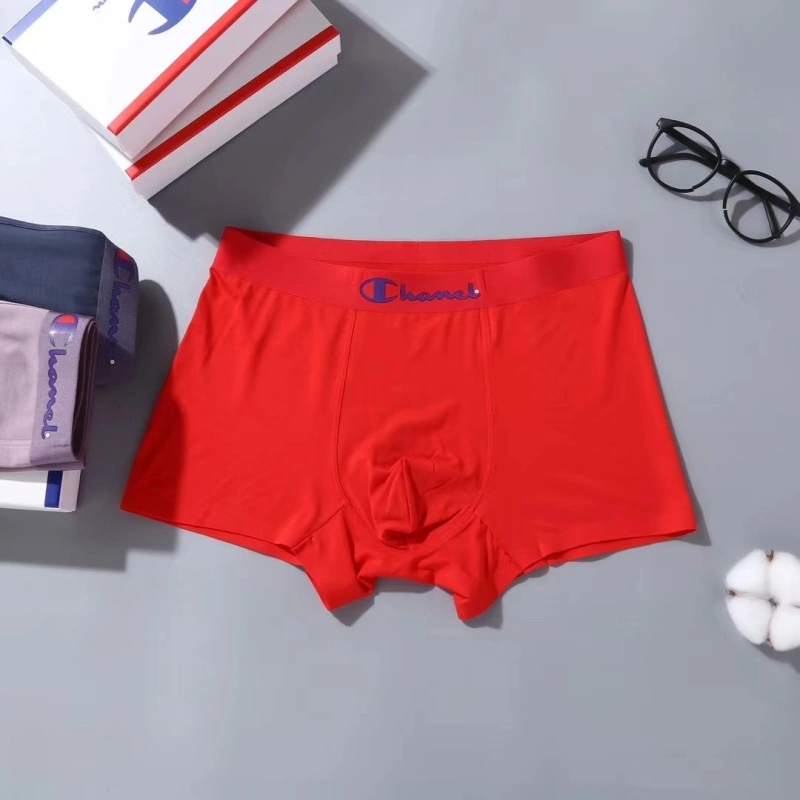 WrinkleFree Champion Underwear 276673