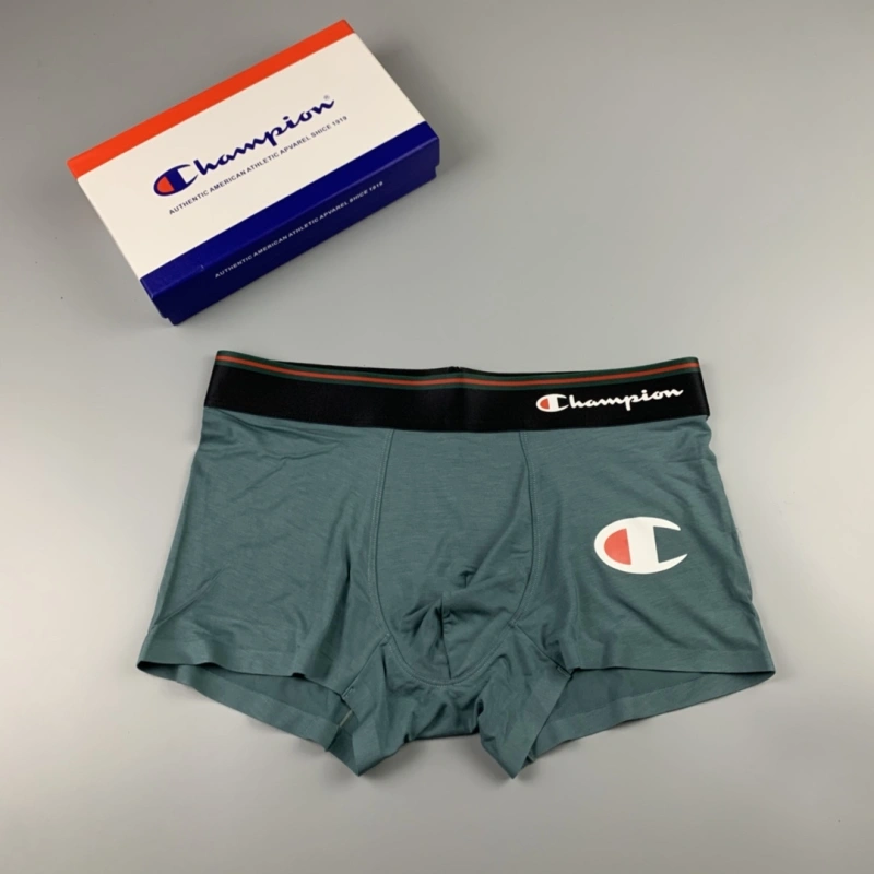 Champion Underwear Stylish 276462