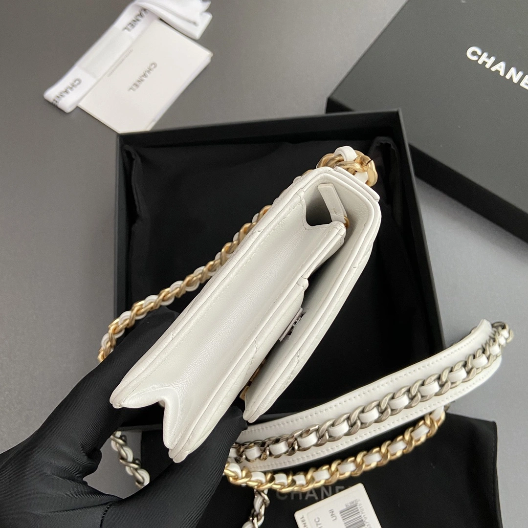 Bold Chanel 19 Bags 56661