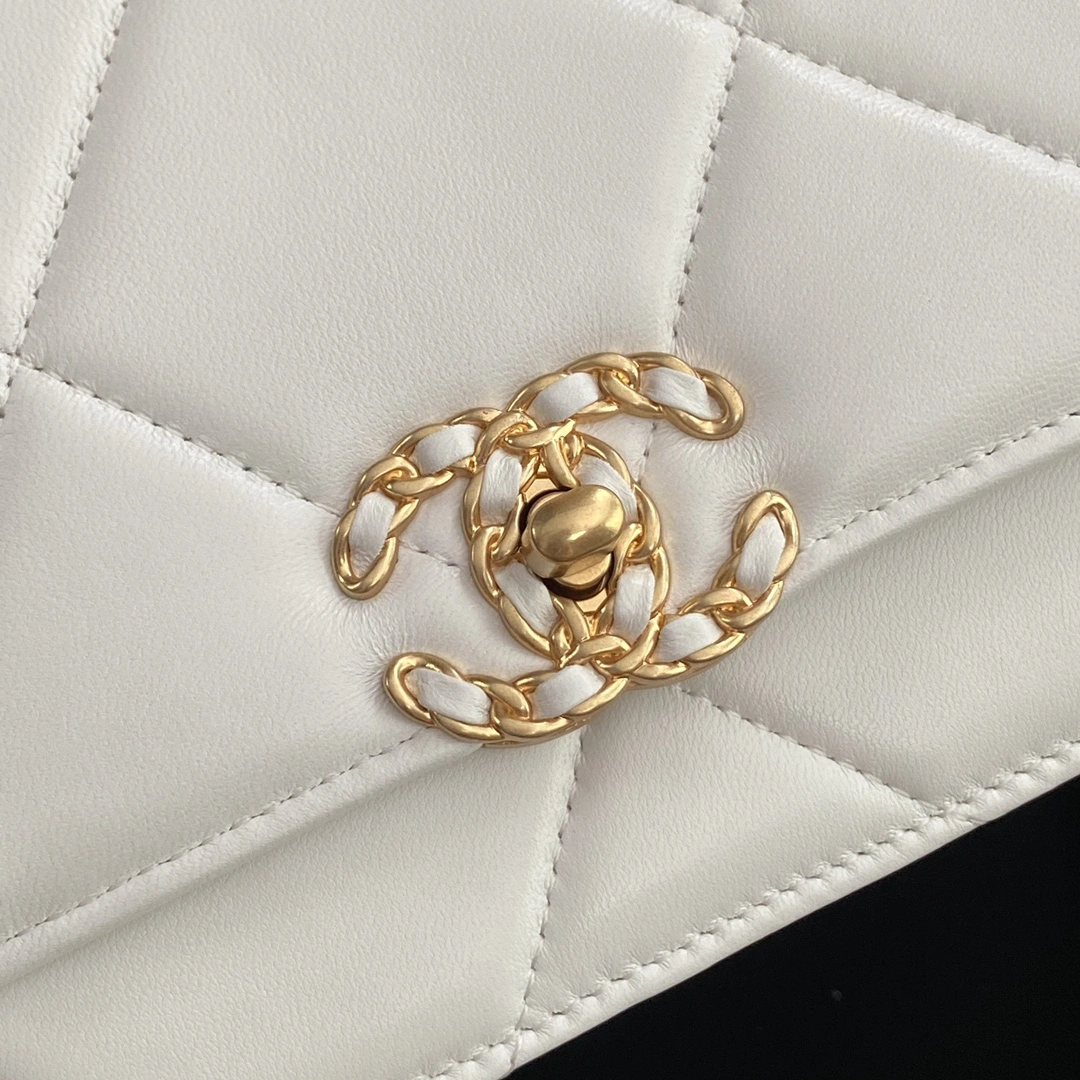Bold Chanel 19 Bags 56661