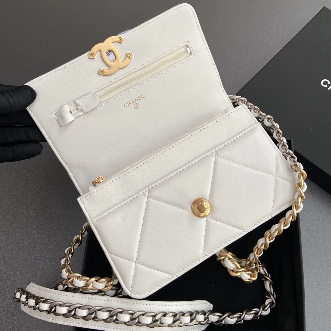 Bold Chanel 19 Bags 56661