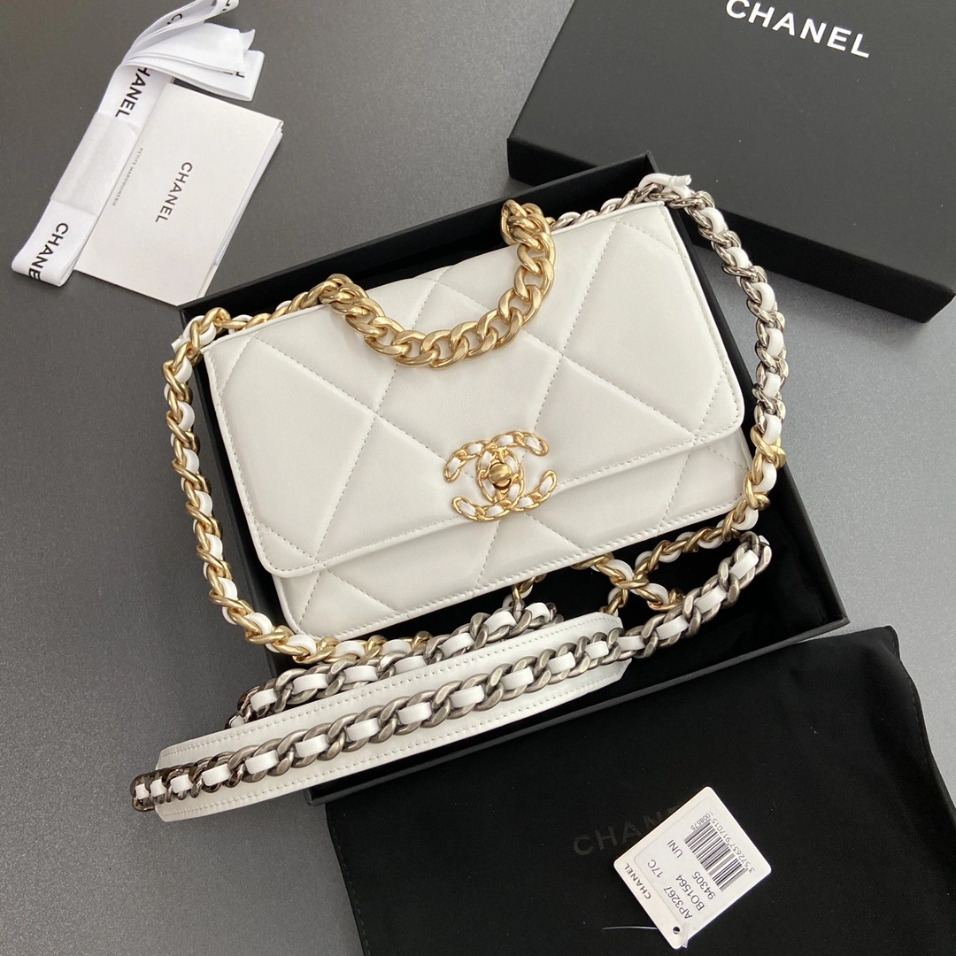 Bold Chanel 19 Bags 56661