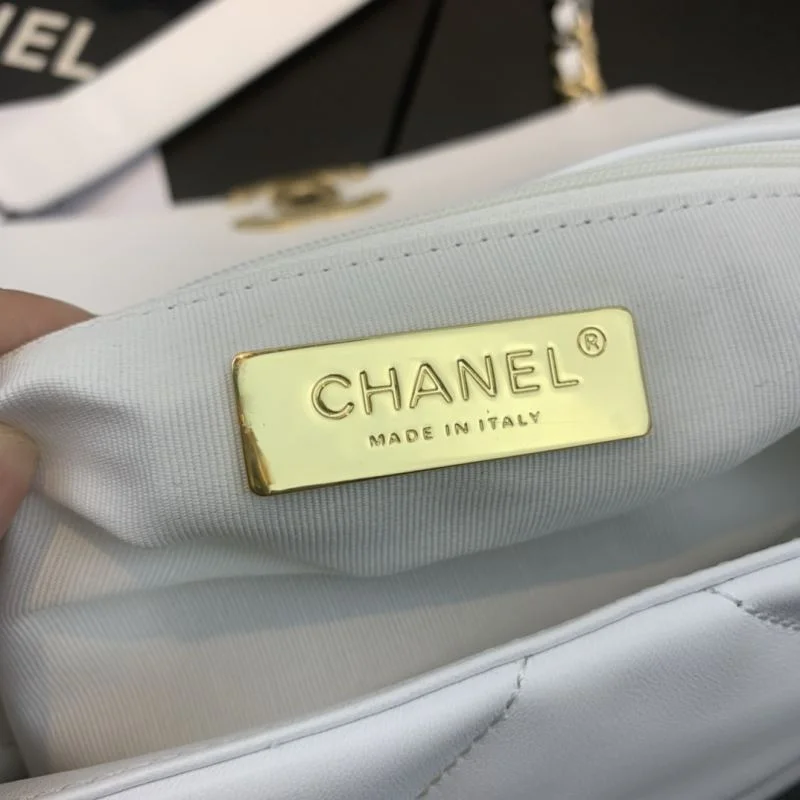 Timeless Chanel 19 Bags 55590