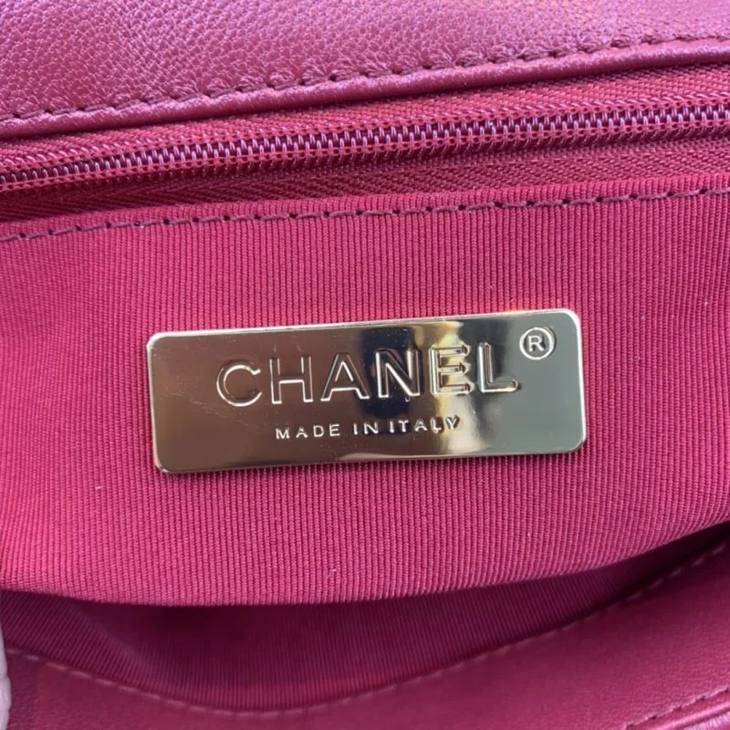 Sophisticated Chanel 19 Bags 55588