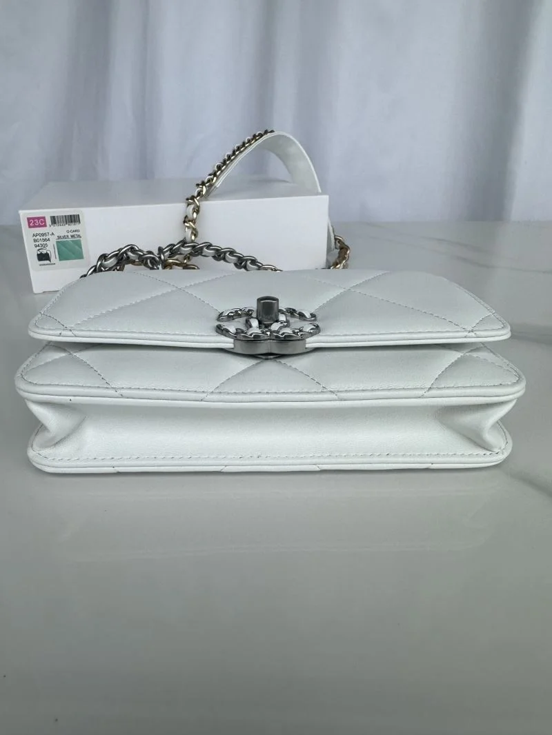 Chanel 19 Bags Cozy 55561