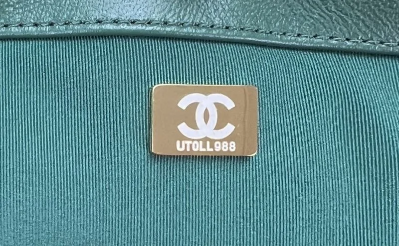 Chanel 19 Bags Soft 55557