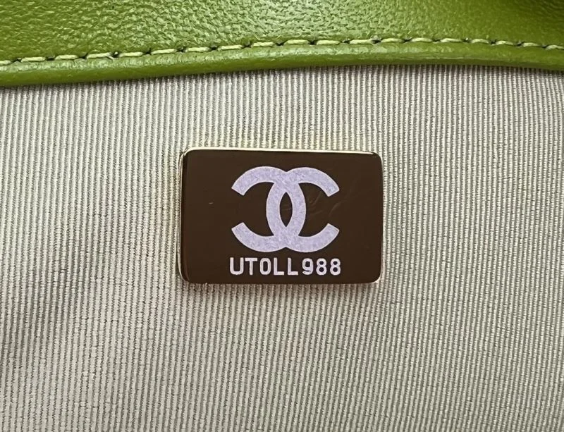 Sophisticated Chanel 19 Bags 55548