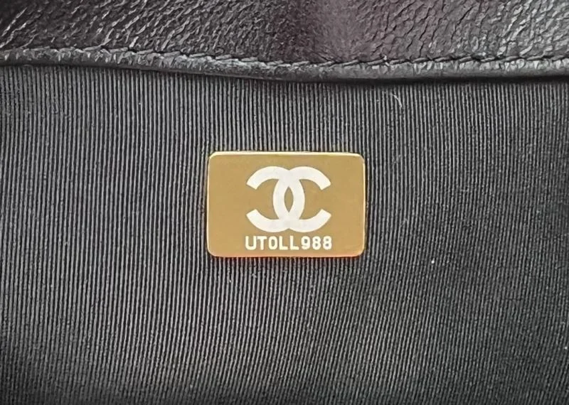 Chanel 19 Bags FreshLook 55545