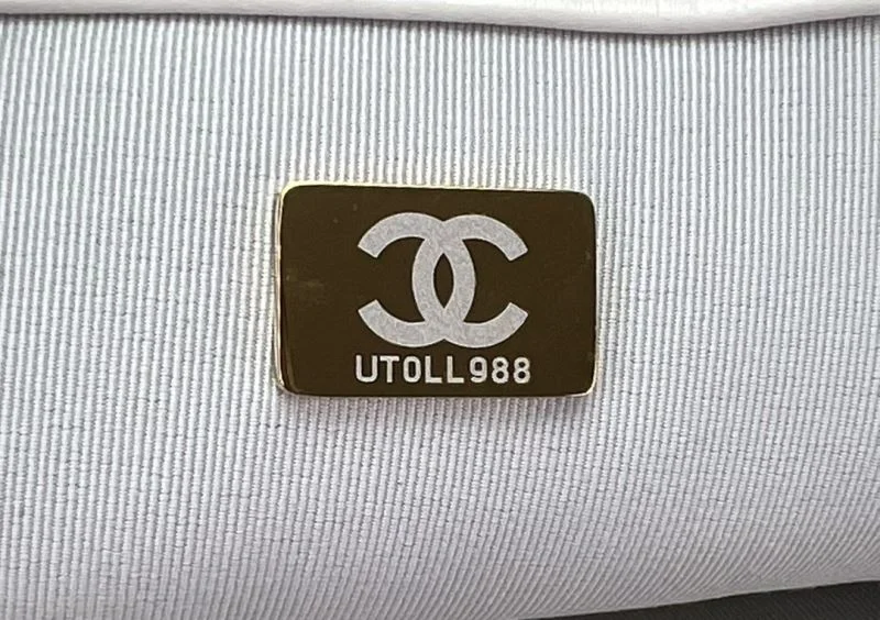 Sleek Chanel 19 Bags 55579