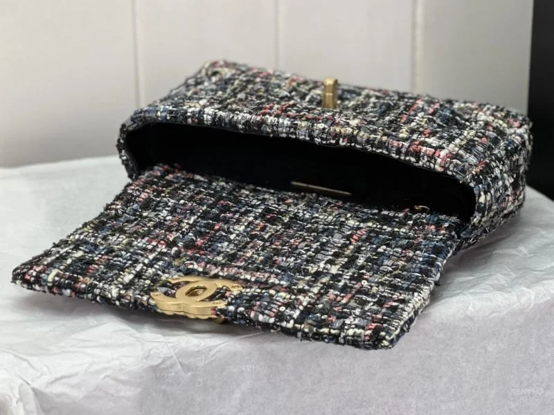 Functional Chanel 19 Bags 55551