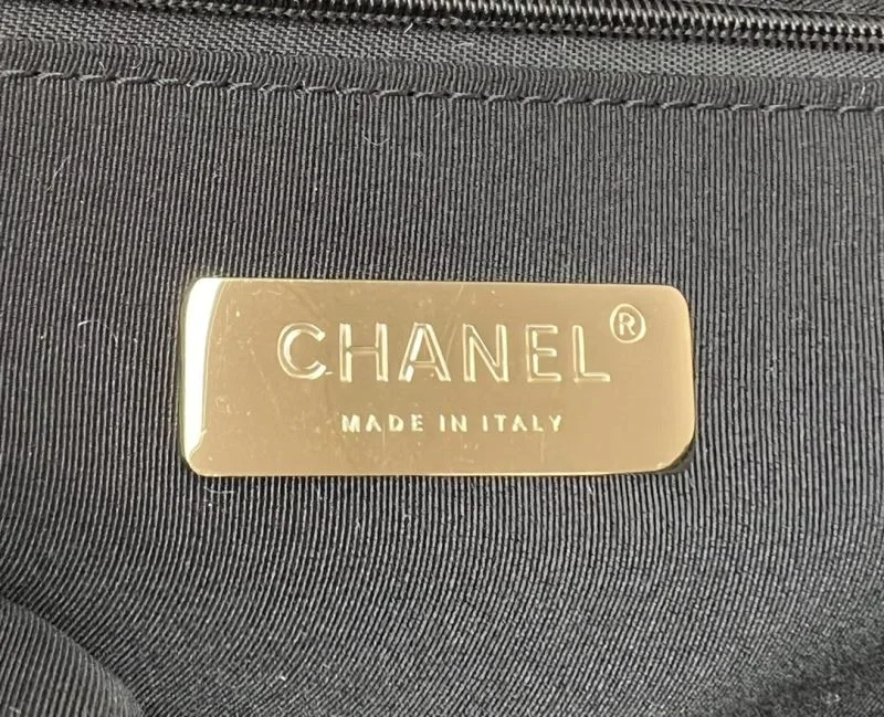 Functional Chanel 19 Bags 55551