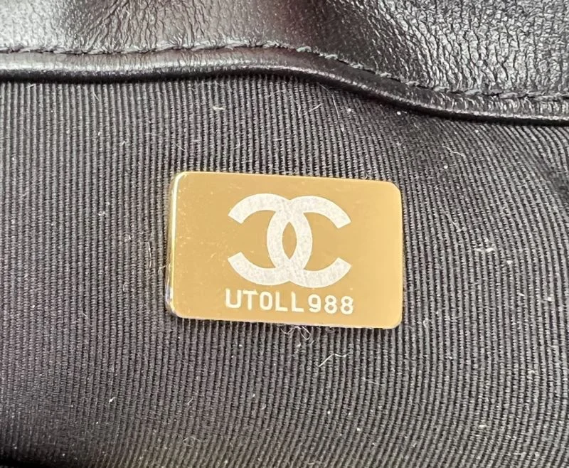 Functional Chanel 19 Bags 55551