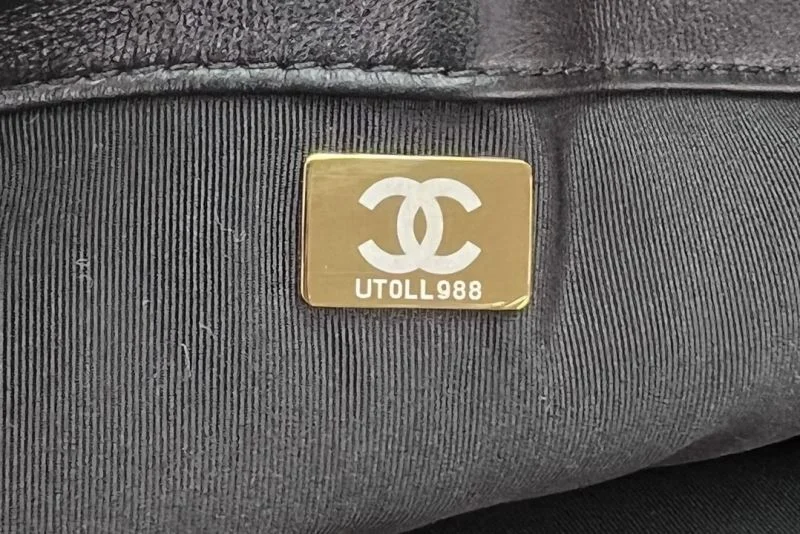 Flexible Chanel 19 Bags 55552