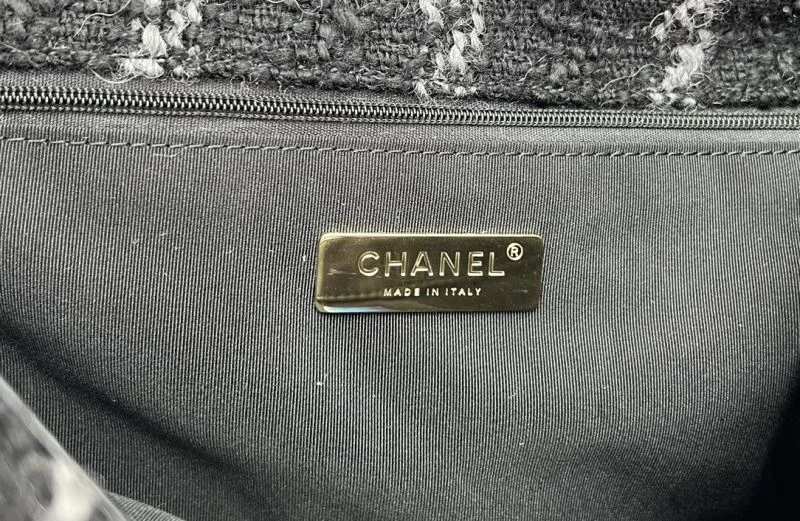 WrinkleFree Chanel 19 Bags 55575