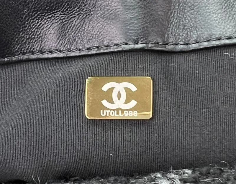 WrinkleFree Chanel 19 Bags 55575