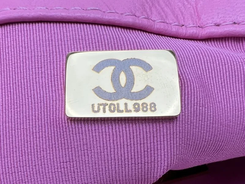 Reliable Chanel 19 Bags 55537