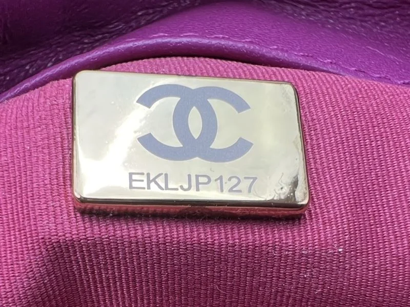 Unisex Chanel 19 Bags 55605