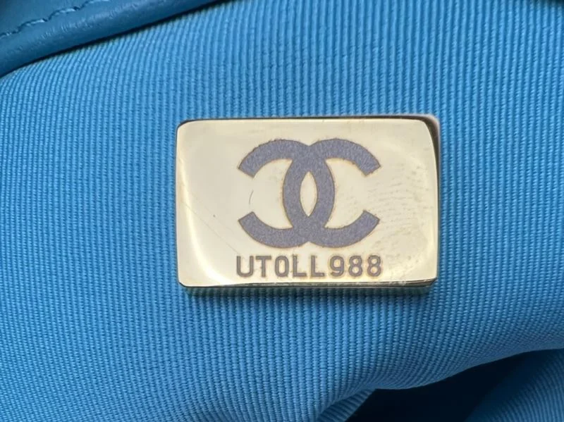 Chanel 19 Bags ZeroBulk 55534