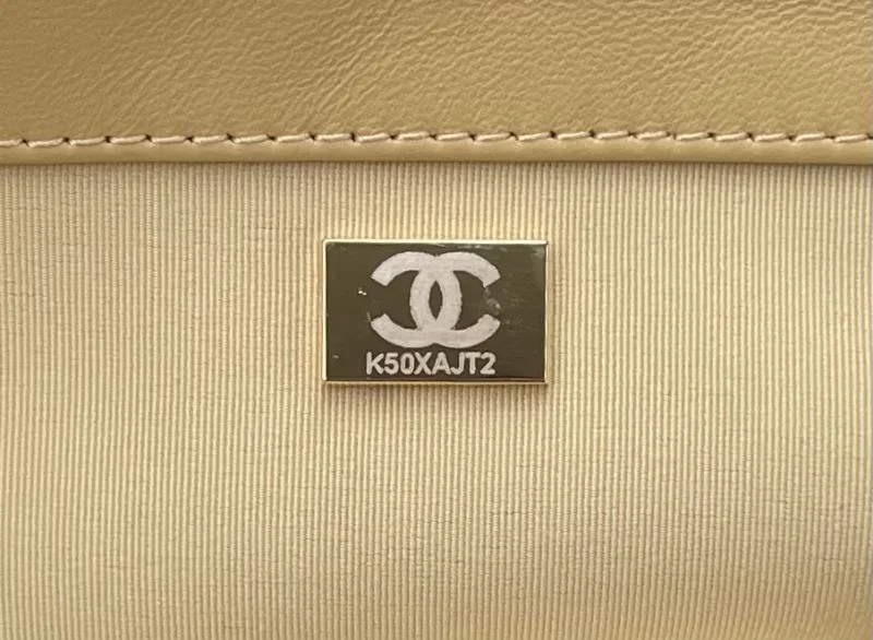 Chanel 19 Bags Practical 55519