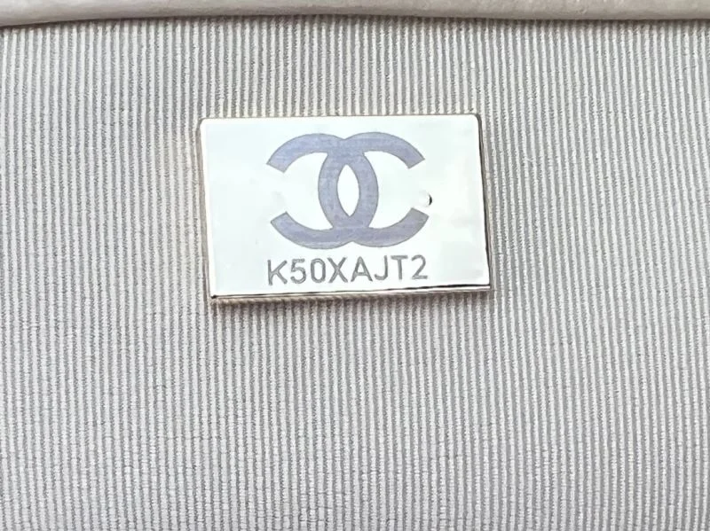Chanel 19 Bags Functional 55589