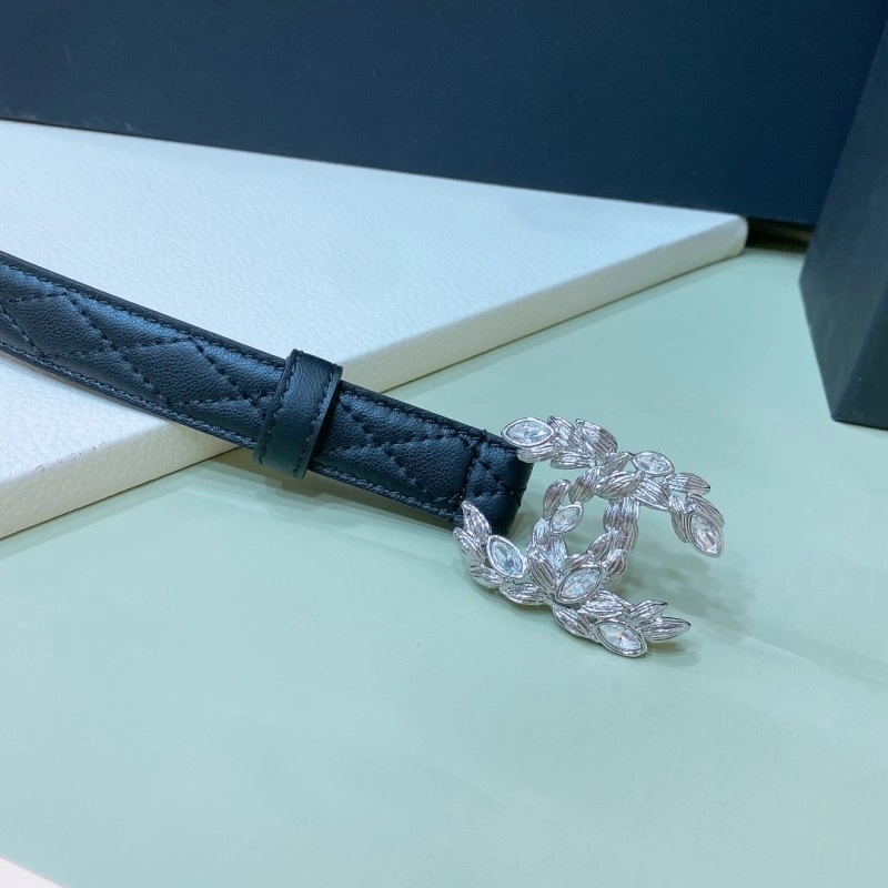 TechFriendly Chanel Belts 284044